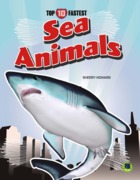 Sea Animals