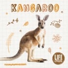 Kangaroo