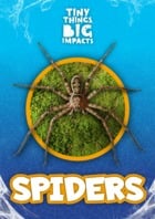 Spiders