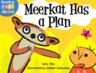 Meerkat Has a Plan