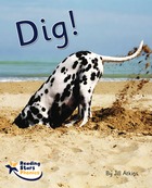 Dig!