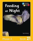 Feeding at Night