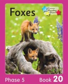 Foxes