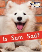 Is Sam Sad?