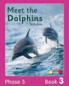 Meet the Dolphins