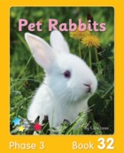Pet Rabbits