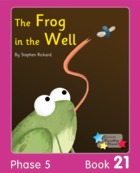 The Frog in the Well