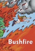 Bushfire