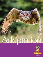 Adaptation