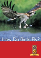 How Do Birds Fly?