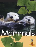 Mammals