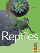 Reptiles