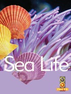 Sea Life