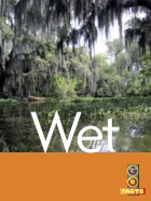 Wet