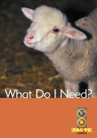 What Do I Need?