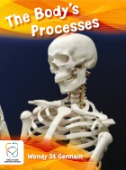 The Body’s Processes