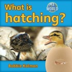 What is hatching?