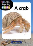 A crab