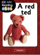 A red ted