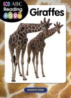 Giraffes