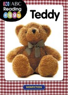 Teddy