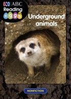 Underground animals