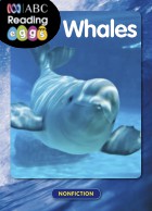 Whales
