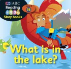 What is in the lake?