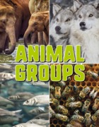 Animal Groups