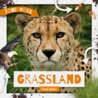 Grassland Food Webs