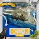 Ocean Food Webs