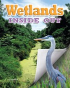 Wetlands Inside Out