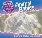 Animal Babies