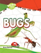 Bugs
