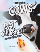 Cows Eat Chicken!