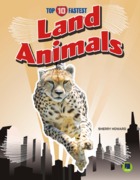 Land Animals