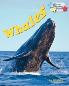 Whales