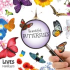 Beautiful Butterflies