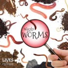 Wiggly Worms