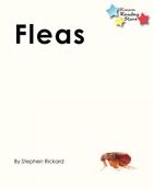 Fleas