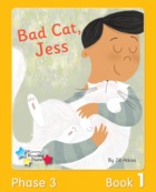 Bad Cat, Jess