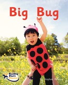 Big Bug