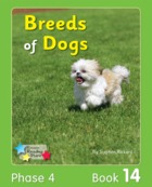 Breeds of Dogs