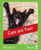 Cats are Fun!