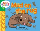 Mud on the rug