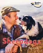 Sheepdogs