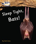 Sleep Tight, Bats!