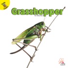 Grasshopper
