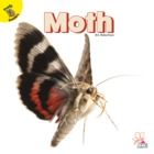 Moth