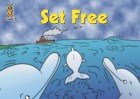 Set Free